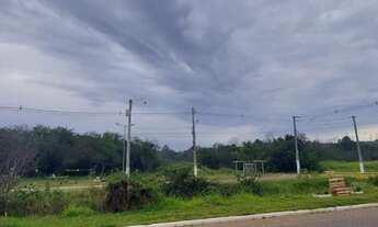 Imagem 4: Lote/terreno à venda em Alvorada