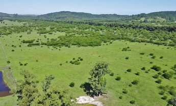 Imagem 5: Lote/terreno à venda em Viamão