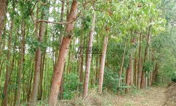 Imagem 5: Fazenda à venda 210M², ÁREA RURAL DE COLATINA, COLATINA - ES