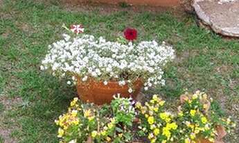 Imagem 6: Apartamento em Tristeza