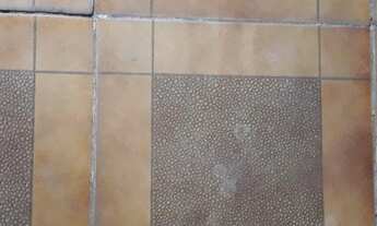 Imagem 2: Casa frente de rua recém reformada com 3 quartos em Piedade - Rio de Janeiro - RJ