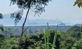 Imagem 5: Vendo terreno no Rio pequeno 15 min de Paraty
