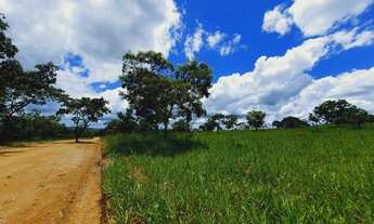 Imagem 6: Oportunidade. Terrenos de 20.000m² com Lagoa no Quintal por 40.475 + Parcelas