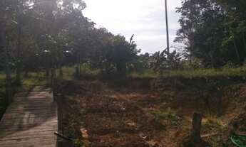 Imagem 6: Fazenda à venda, Alça Viária, Acará, PA