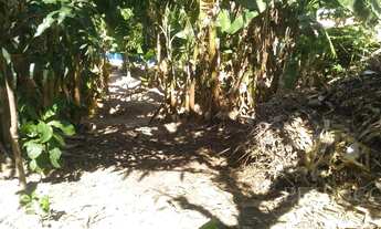 Imagem 4: Terreno - Jardim Novo Campos Elíseos - Campinas