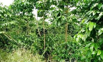 Imagem 2: Fazenda à venda 210M², ÁREA RURAL DE COLATINA, COLATINA - ES