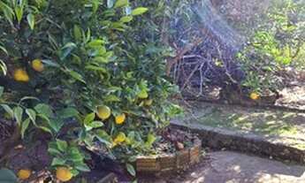 Imagem 7: Porto Alegre - Casa Padrão - Santa Tereza