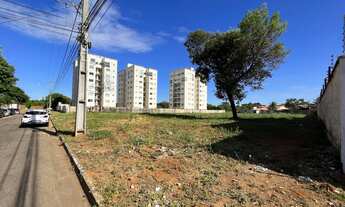 Imagem 6: Palmas - Terreno Padrão - Plano Diretor Norte