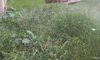 Imagem 2: Terreno - Jardim São Judas Tadeu - Campinas