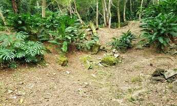 Imagem 7: Toque Toque Grande - terreno perto da mata atlântica. estuda permuta