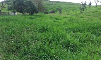 Imagem 6: Fazenda para Venda em Ibicaraí, Zona Rural