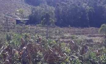 Imagem 3: Fazenda/Sítio/Chácara para venda em Cai de baixo - Quitandinha - Paraná