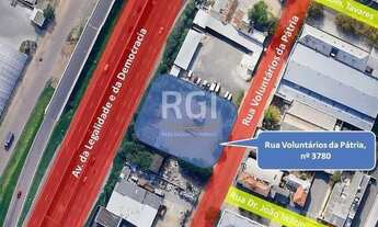 Imagem 6: Porto Alegre - Terreno Padrão - Floresta