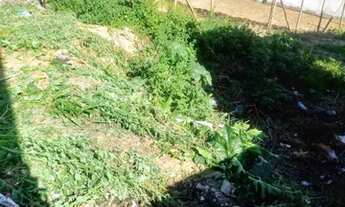 Imagem 4: Terreno - Jardim São Judas Tadeu - Campinas