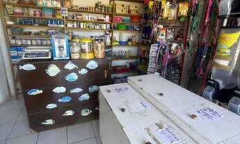 Imagem 3: Vendo Pet-shop completo funcionando e com produtos