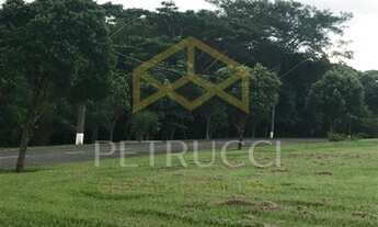 Imagem 4: Terreno - Centro - Jaguariúna