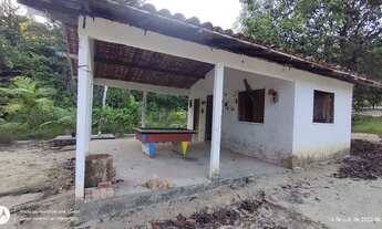 Imagem 7: Sitio 120x250 em Terra Alta por R$180 mil reais