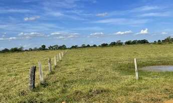 Imagem 3: VENDO EXCELENTE FAZENDA NA REGIÃO DE JUSSARA GO