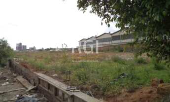 Imagem 5: Terreno em Anchieta