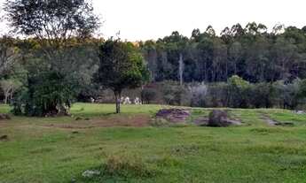 Imagem 7: Chácara a venda na usina mourão em Campo mourão 27.211 m2