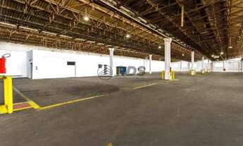 Imagem 7: SãO PAULO - Galpão/Depósito/Armazém - Vila Leopoldina