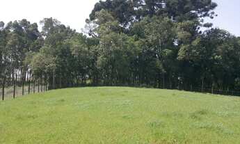 Imagem 5: Chácara no Umbará - Curitiba/PR