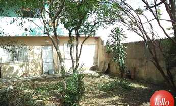 Imagem 4: São Paulo - Casa Comercial - Vila Matilde