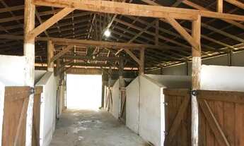 Imagem 5: Campo Largo, 52 alq, 125 ha, Haras, gado ou reflorestamento