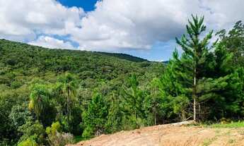 Imagem 4: Terrenos com ótimas topografia