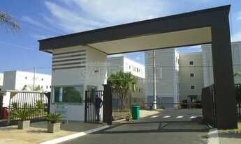 Imagem 6: Sao Carlos - Apartamento Padrão - Parque Fehr