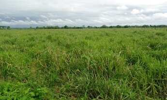 Imagem 3: Chácara 9.4 Alq. Na Marília