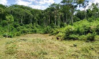Imagem: Terreno à venda em Pomerode bairro Ribeirão