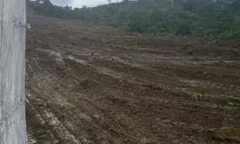 Imagem 5: Vendo terreno de chácara parcelamento direto