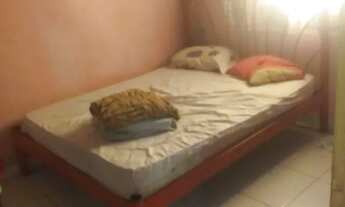 Imagem 6: Casa venda ou troca em outra casa