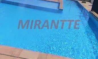 Imagem 4: Lindo apartamento em Vila Guilherme