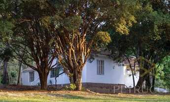 Imagem 5: Terreno - Tanquinho Velho - Jaguariúna