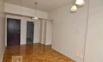 Imagem 5: Apartamento para Aluguel - Laranjeiras, 2 Quartos, 65 m2