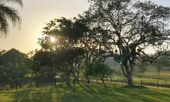 Imagem 4: Alugo quarto em casa no bairro Macuco