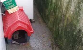 Imagem 4: Vendo casa com ponto comercial rio vermelho