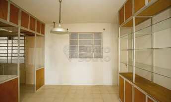 Imagem 4: Apartamento Padrão em Pelotas