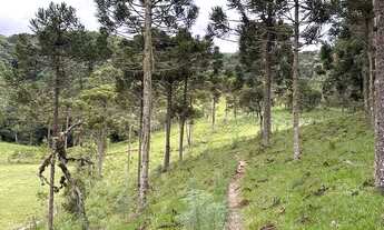 Imagem 6: Fazenda/Sítio/Chácara/Terreno à venda em Urubici/SC