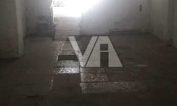 Imagem 7: Loja, Vila Palmeiras - São Paulo