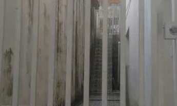 Imagem 2: CASA - COTIA Casa com 3 dormitórios