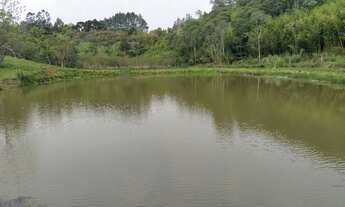 Imagem 2: Sítio, Ribeirão Branco