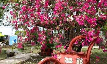 Imagem 3: Casa com piscina para temporada Mosqueiro