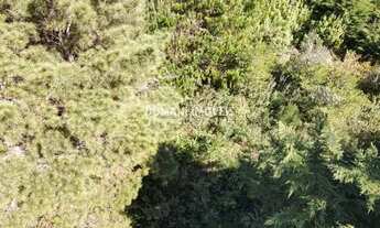 Imagem 3: Lote com Vista para a Pedra do Baú na Região do Alto do Capivari - Campos do Jordão/SP