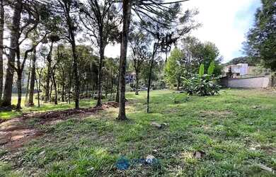 Imagem 12: Terreno a venda Cond. Parque Alvorada com 1.875m²