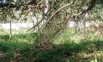 Imagem 7: Lote/Terreno para venda tem 1362 metros quadrados em Los Álamos - Vargem Grande Paulista