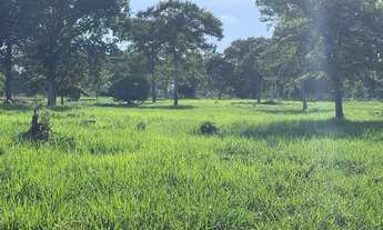 Imagem 4: 237 alqueires em Nova Crixás-Go