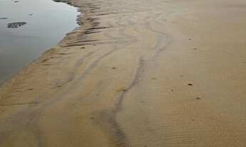 Imagem 6: Lote Praia Mar Terreno / lote com venda por R$150.000